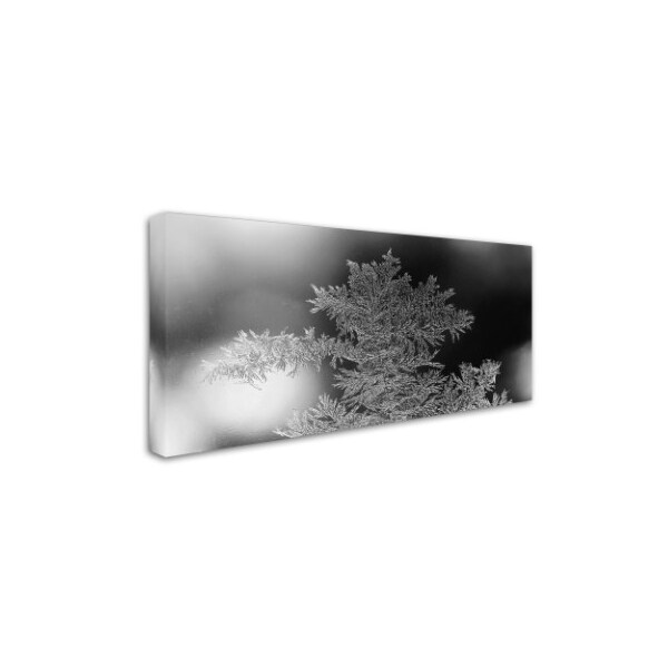 Kurt Shaffer 'Window Frost Design' Canvas Art,10x19